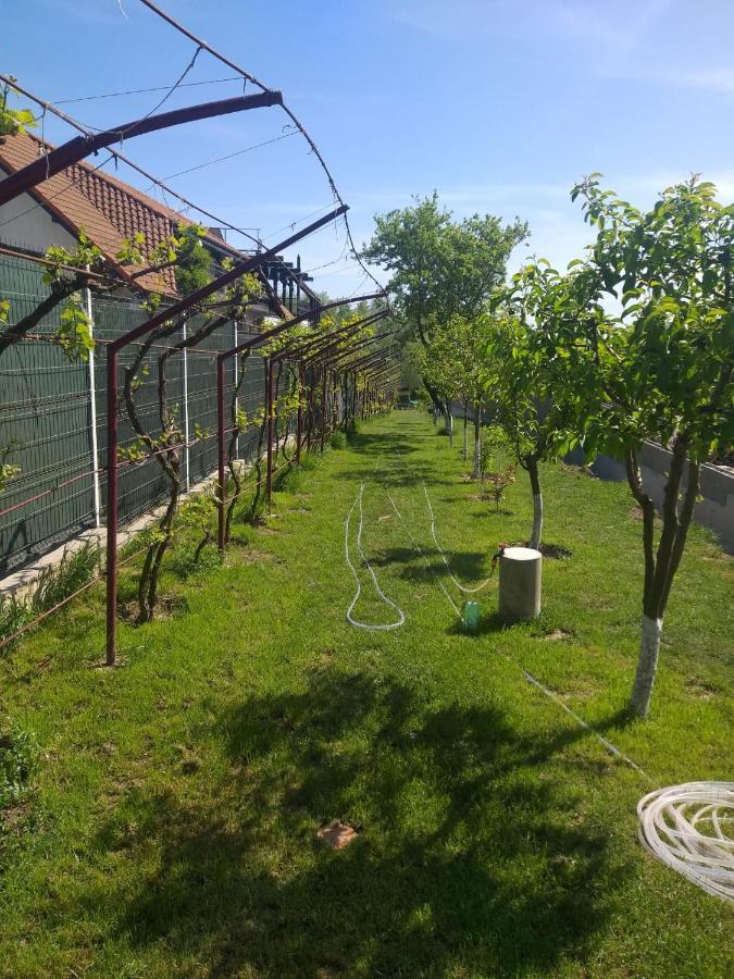 Cabanele Deltei Dunavăţu de Jos Dış mekan fotoğraf