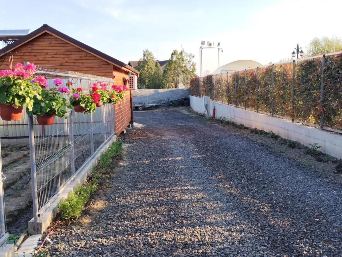 Cabanele Deltei Dunavăţu de Jos Dış mekan fotoğraf